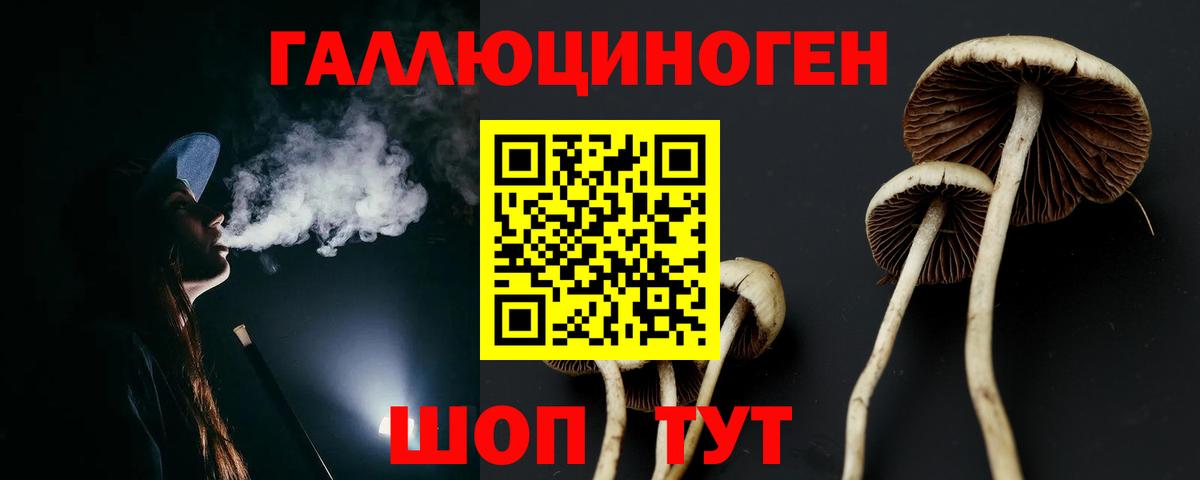 Галлюциногенные грибы Cubensis  Галлюциногенные грибы ЛСД  Мирный  Вход с VPN 